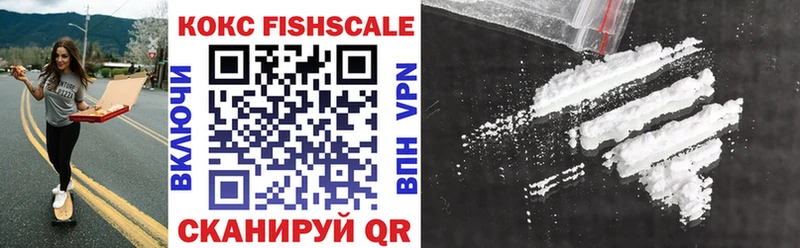 закладки  Вилючинск  Cocaine Fish Scale 