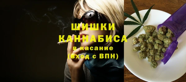 сатива Богданович