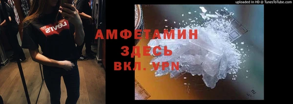 сатива Богданович