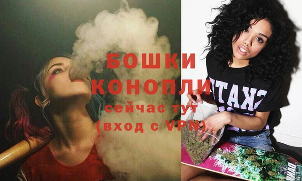PSILOCYBIN Богородск