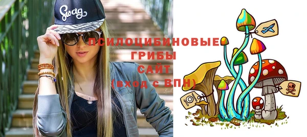 PSILOCYBIN Богородск