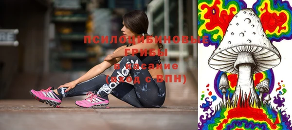 PSILOCYBIN Мегион