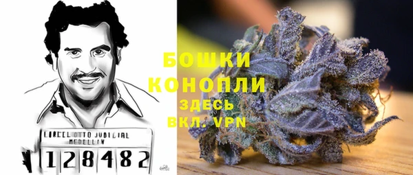 сатива Богданович