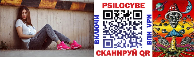 Псилоцибиновые грибы GOLDEN TEACHER купить закладку Вилючинск