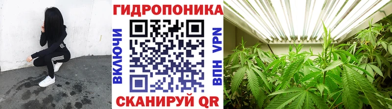 даркнет наркотические препараты  Вилючинск  Бошки Шишки план 